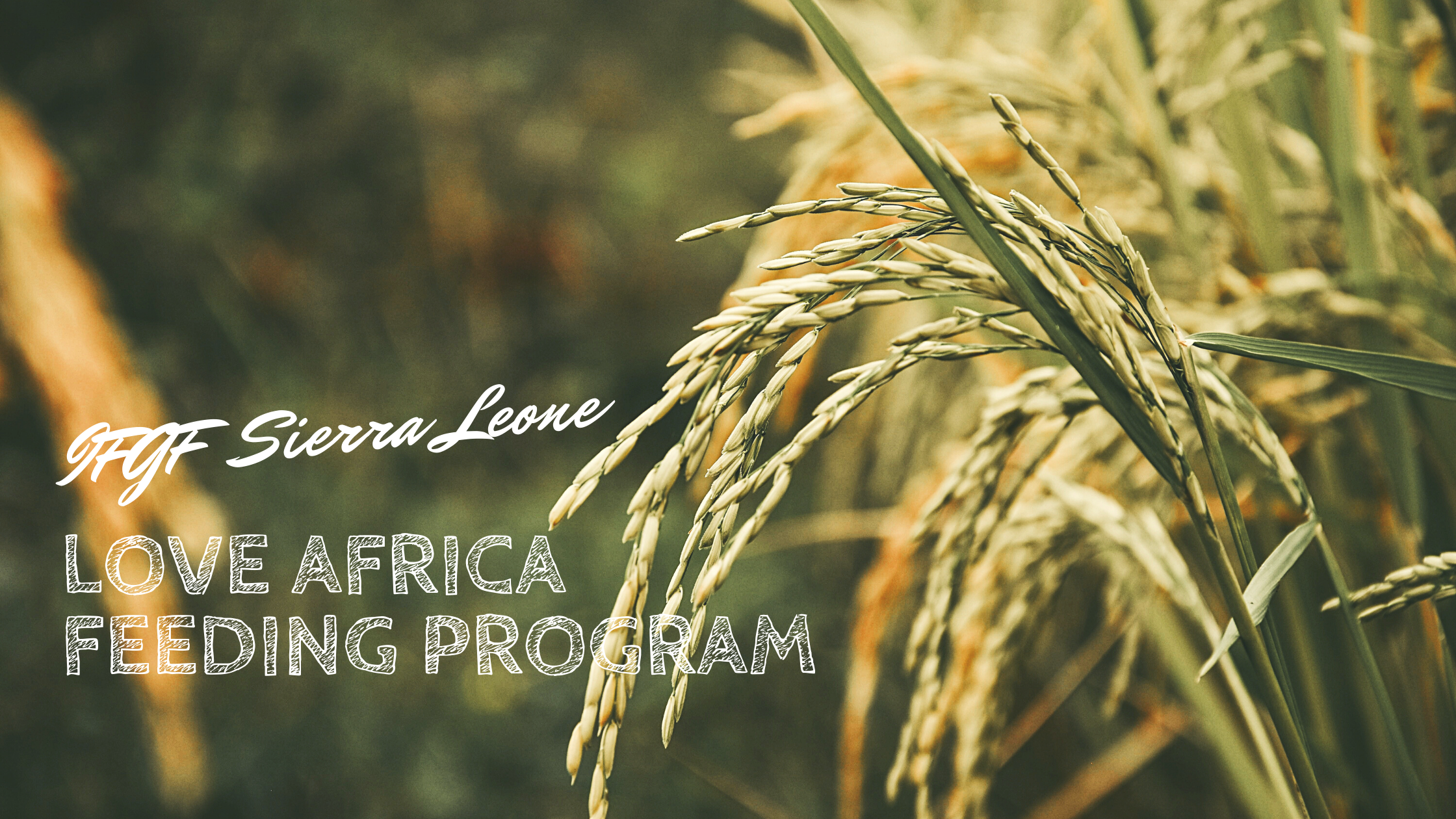 LOVE AFRICA FEEDING PROGRAM